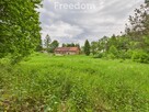 Piękna działka z budynkiem gospodarczym - 4