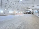 HALA PRODUKCJA MAGAZYN 825 m2 gm. ZABIERZÓW - 1