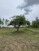 Działki bud na osiedlu zamkniętym k. Nasielska - 1