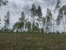 Działki bud na osiedlu zamkniętym k. Nasielska - 3