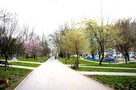 Ustawne mieszkanie 2 pokojowe, Os. Kazimierzowskie - 13