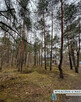 Działka budowlana Józefów Michalin, - 1