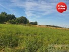 Działka nad jeziorem Koprowo - 3