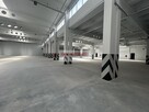 RYBITWY HALA PRODUKCJA MAGAZYN ok. 1437 m2, biura - 5