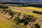 Działka budowlana - Sprzedaż - Józefów gm. Pniewy - 2