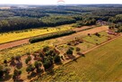 Działka budowlana - Sprzedaż - Józefów gm. Pniewy - 3