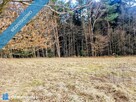Działka pod lasem Paleśnica - 14