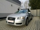 Audi A3 1.9 TDI 105KM # Klima # Elektryka # Po wymianie rozrządu - 1