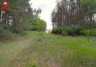 Działka rolna Płaska Centrum - 2