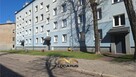 Mieszkanie Częstochowa Raków, Limanowskiego - 12
