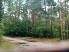 Działka leśna Augustowo gm. Bielsk Podlaski, - 4