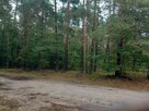 Działka leśna Augustowo gm. Bielsk Podlaski, - 5