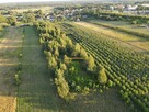 Działka siedliskowa Nowe Miasto nad Pilicą Pobiedna - 8