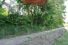 Działka Stopnica - 5