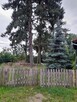 Puszcza Notecka i Kraina Stu Jezior zapraszają - 6