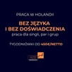 PRACA W HOLANDII bez języka i bez doświadczenia