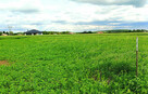 Działki budowlane Łapiguz - 10