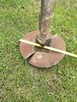 Wiertnica do T25 - 4