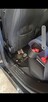 Auto-Detaling - 15