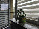 2 pokojowe mieszkanie na Brandstaettera - 8