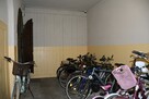 do wynajęcia 1-osobowe w 3-pokojowym na Ostrowie Tumskim - 16