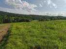 Lipnica Dolna-malownicze miejsce z potencjałem inwestycyjnym - 9
