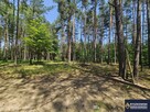 Działka budowlana Trzepieciny gm. Adamów - 1