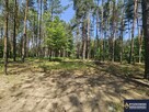 Działka budowlana Trzepieciny gm. Adamów - 3