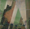 Działka rolna Augustowo gm. Bielsk Podlaski, - 3