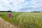 3,14 ha w jednym kawałku w Olszycu Szlacheckim - 3