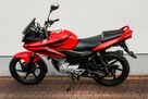 Honda CBF 125 R 2009 Raty Wysyłka TRANSPORT Największy Wybór Moto 125 w PL YBR - 5