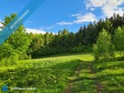 Widokowa Inwestycyjna działka 6km od KARPACZA-zalew Sosnówka/LAKE HILL - 13