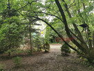 Dom Grodzisk Mazowiecki, - 11