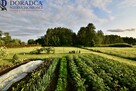 Dom Poręba Wielka gm. Oświęcim, Wadowicka - 9