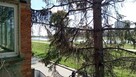 Dom Wrocław Psie Pole, Karłowice, Kasprowicza Jana - 9