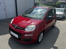 Fiat Panda Raty/Zamiana Gwarancja benzyna sklimatyzacja euro 5 - 3