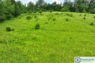 Działka rolna Pielnia gm. Zarszyn, - 9