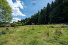 Działka inwestycyjna w leśnym zaciszu, Targoszów - 10