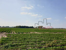 Działka rolna Żuków gm. Grodzisk Mazowiecki, - 4
