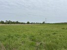 Nowa Huta Kościelniki działki rekreacyjne od 8 ar do 30 ar. - 3