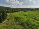 Lipnica Dolna-malownicze miejsce z potencjałem inwestycyjnym - 8