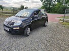 Fiat Panda 1.2 Z Niemiec - 3