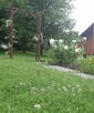 Sprzedam Ogródek działkowy - 3