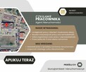 Szukamy agenta nieruchomości - kontrakt B2B - 3