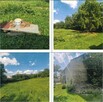 Syndyk sprzeda siedlisko – dom i budynki gospodarcze - 16