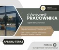 Szukamy agenta nieruchomości - kontrakt B2B - 1