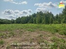 Działka budowlana Korytów gm. Radziejowice - 6