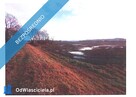 Syndyk sprzeda działkę niezabudowaną - 1