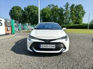 Toyota Corolla Krajowy, bogata wersja. - 2