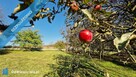 Dom z działką 10ar gotowy do zamieszkania od zaraz. Krzeszowice koło Krakowa. - 15